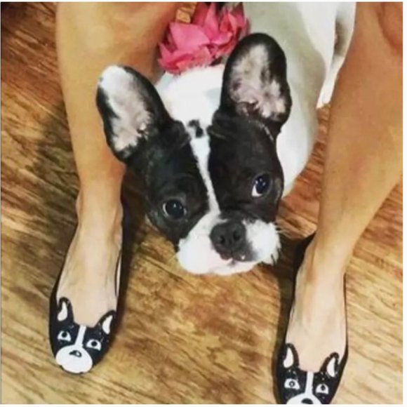 Kate Spade Winthrop Frenchie Flats shoes size 5 / 5,5 nwot - Picture 5 of 8